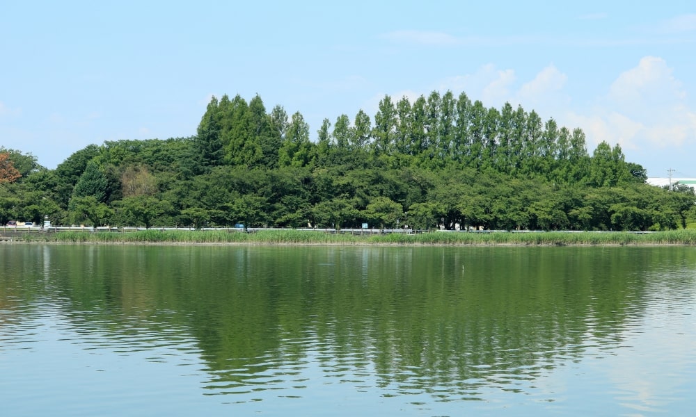 埼玉県川越市の風景